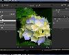 [原]Adobe Photoshop Lightroom 4.2 完整的數位攝影工具(RAR@827MB@TB@多國語言)(2P)