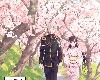 《我的幸福婚約》動畫釋出春季視覺圖、主題曲情報(3P)
